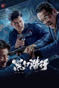 The Grey Men 2 (2025) AMZN WEB-DL Dual Audio {Hindi-Chinese} 480p [450MB] | 720p [1.1GB] | 1080p [2GB] x264